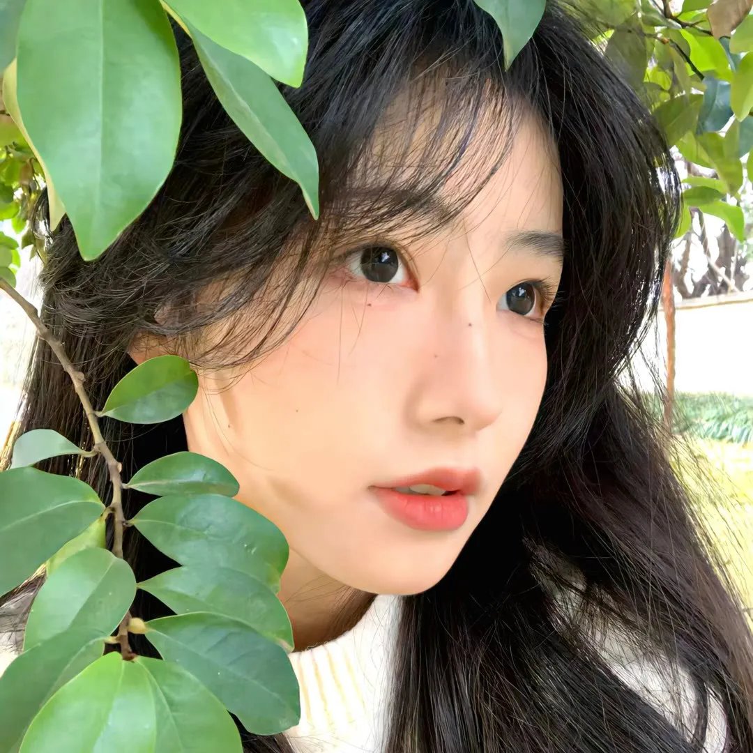 硅谷第四季